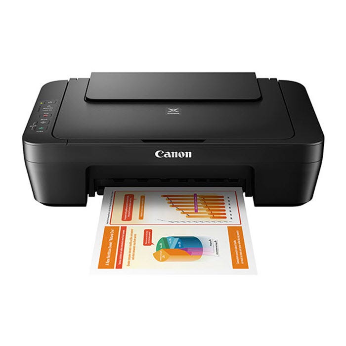 Canon PIXMA MG2525 Ink